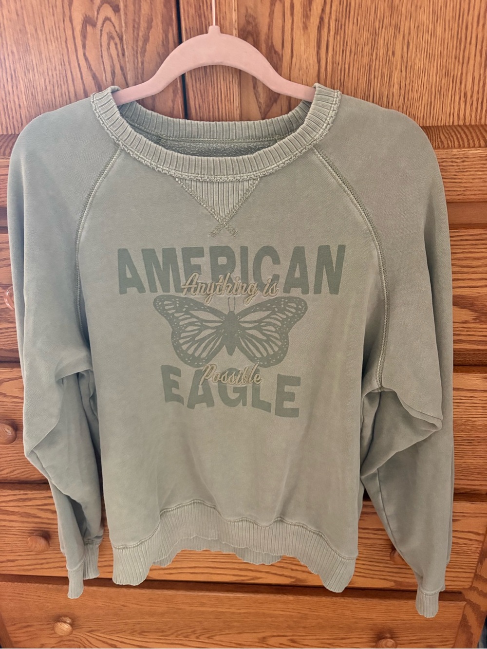 American Eagle Outfitters Sage Green Butterfly Logo Sweatshirt